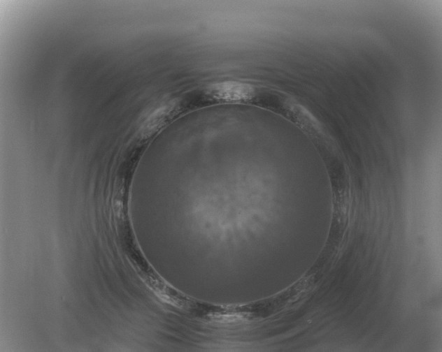 X0000079320553200611251807