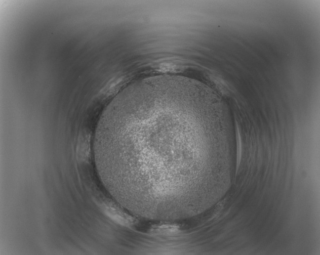 X0000079320554200611251807