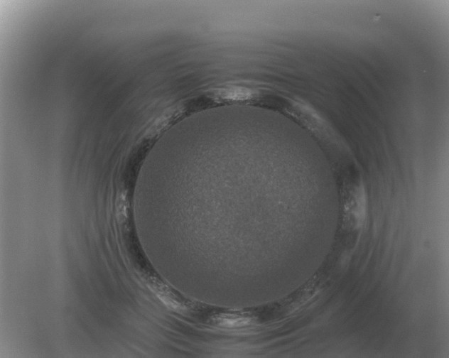 X0000079320555200611251807