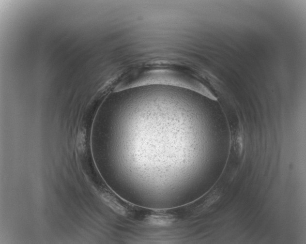 X0000079320556200611251807