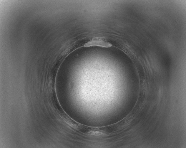 X0000079320557200611251807