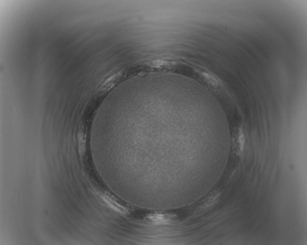 X0000079320558200611251807