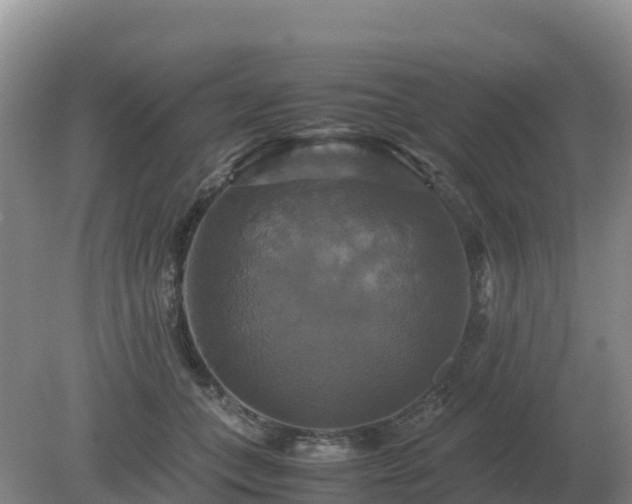 X0000079320559200611251807