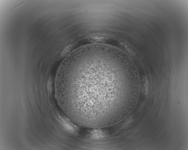 X0000079320562200611251807