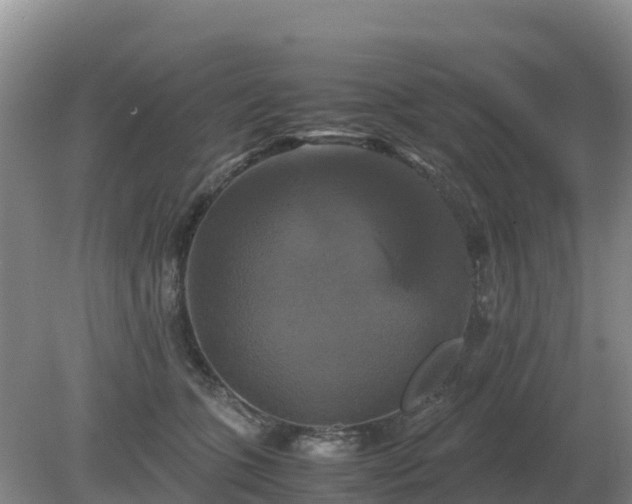 X0000079320563200611251807