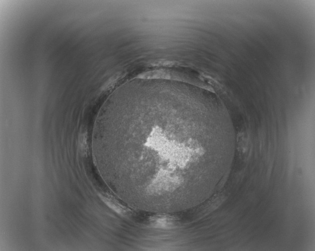 X0000079320564200611251807