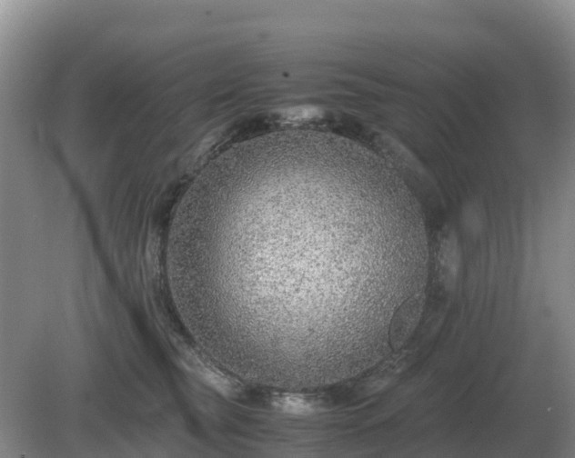 X0000079320565200611251807