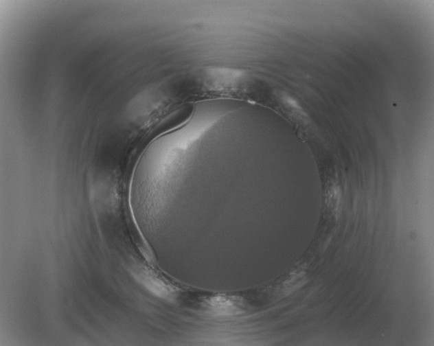 X0000079320566200611251807