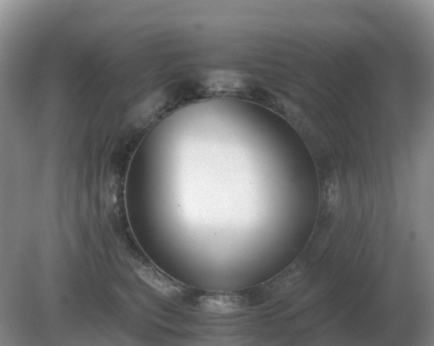 X0000079320567200611251807