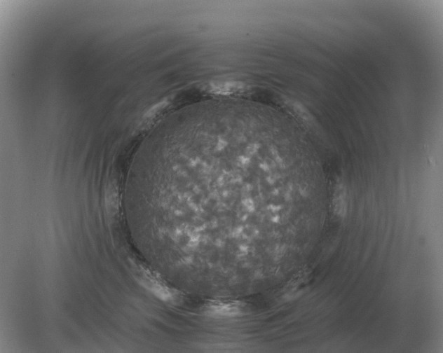 X0000079320569200611251807