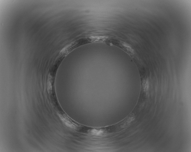 X0000079320570200611251807