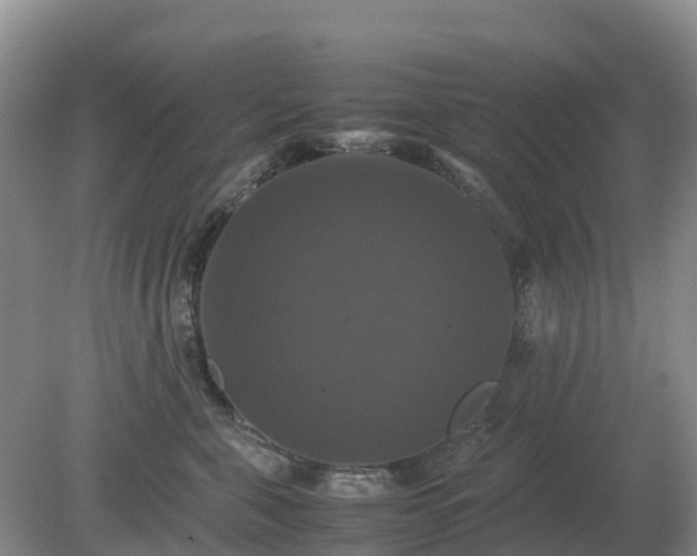 X0000079320571200611251808