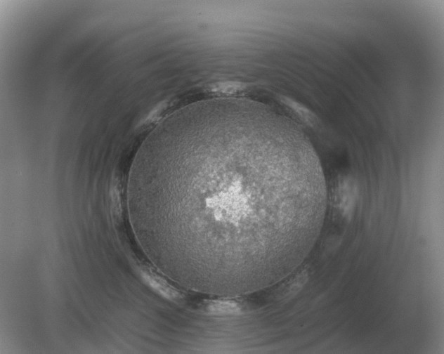 X0000079320572200611251808