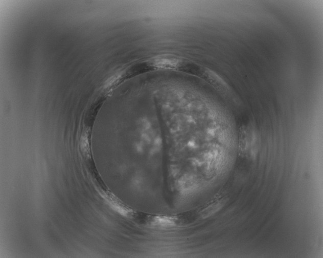 X0000079320573200611251808