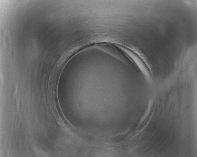 X0000079320577200611251807