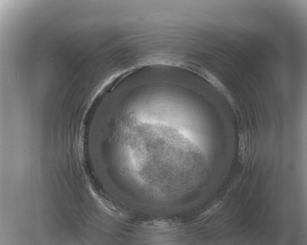 X0000079320580200611251807