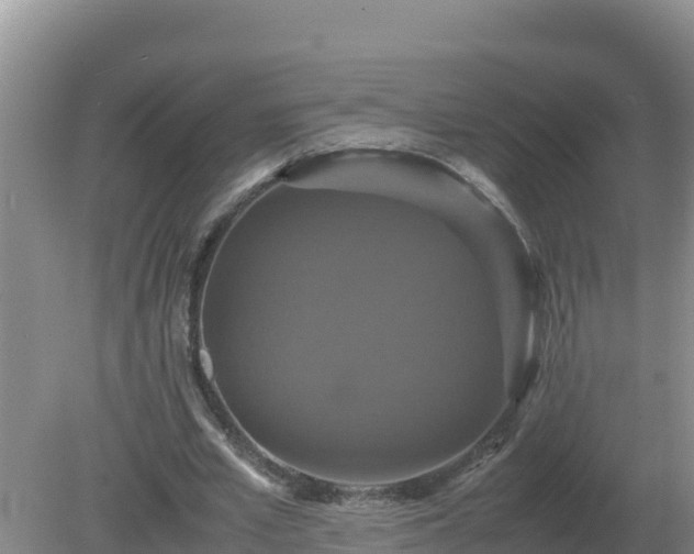 X0000079320581200611251807