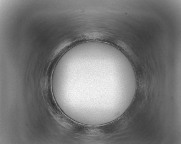 X0000079320583200611251807