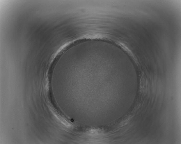 X0000079320584200611251807