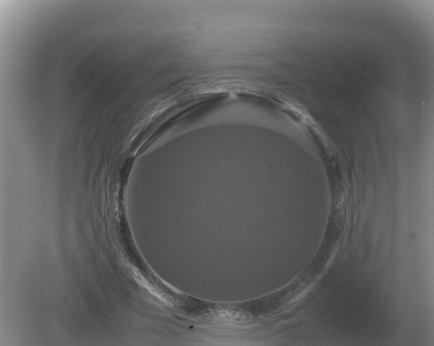 X0000079320585200611251807