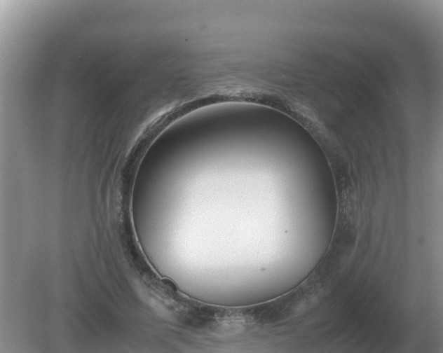 X0000079320587200611251807