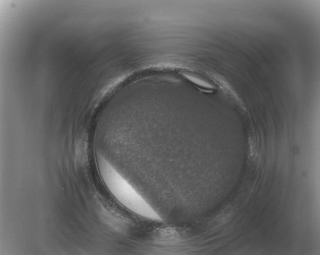 X0000079320588200611251807