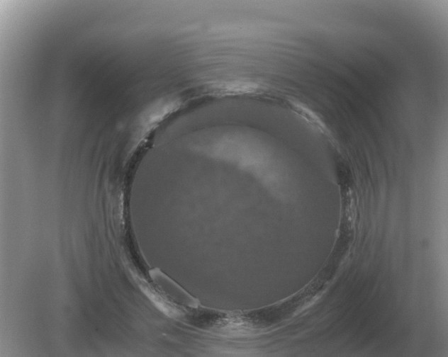 X0000079320589200611251807