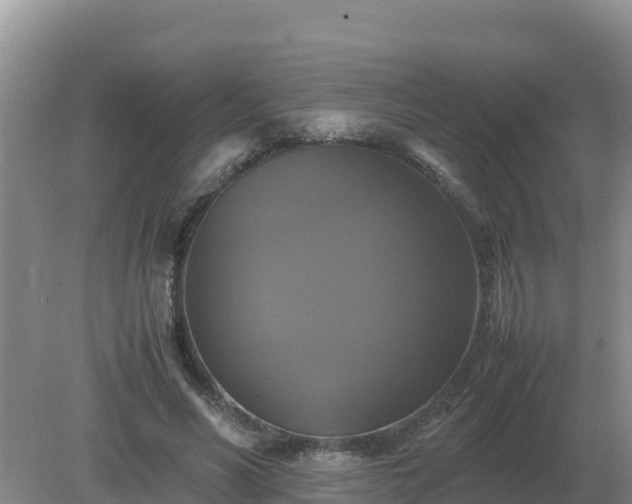 X0000079320590200611251807