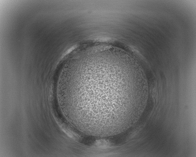 X0000079320591200611251807