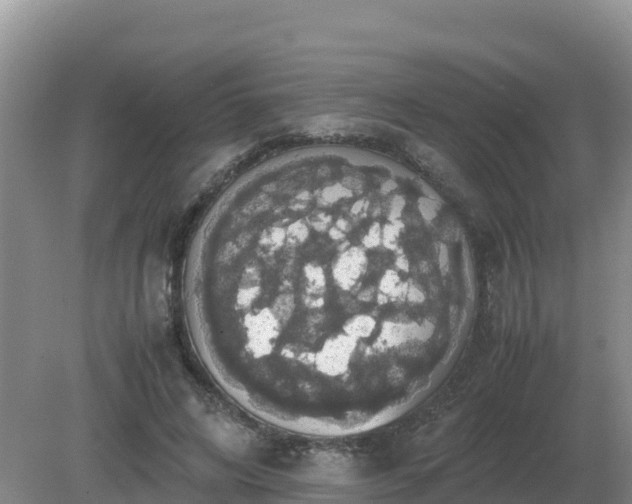 X0000079320592200611251807