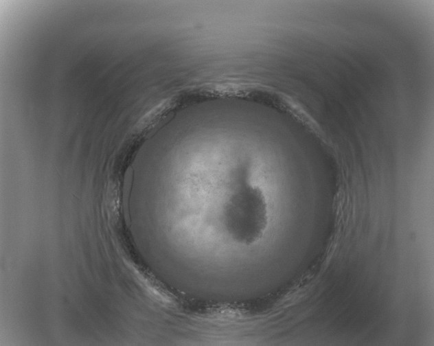 X0000079320593200611251807