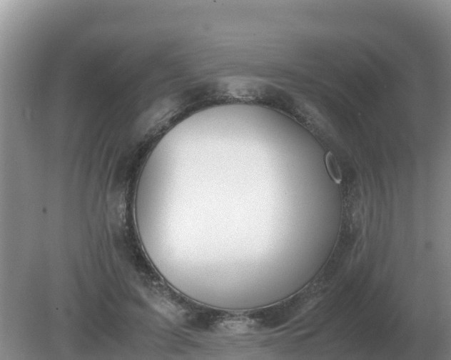 X0000079320595200611251806