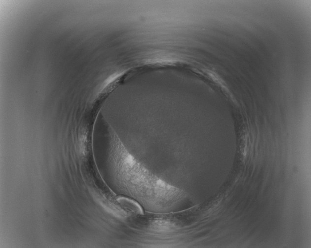 X0000079320596200611251806