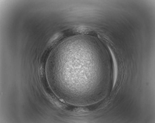 X0000079320597200611251806