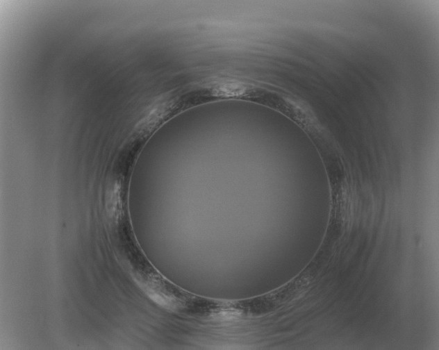 X0000079320598200611251806