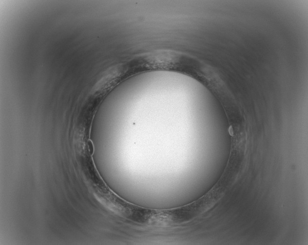 X0000079320599200611251806