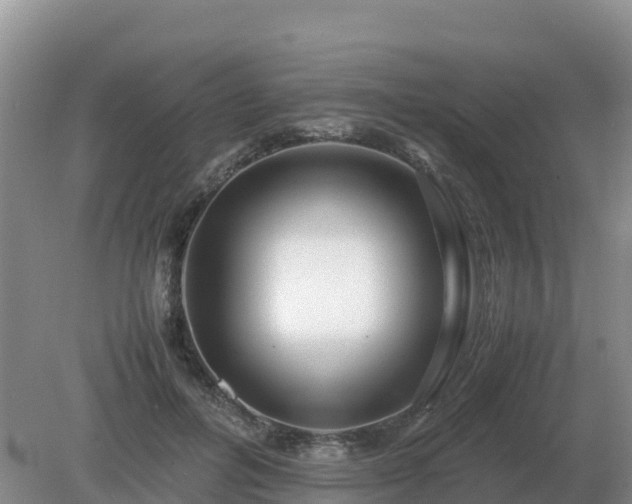 X0000079320600200611251806