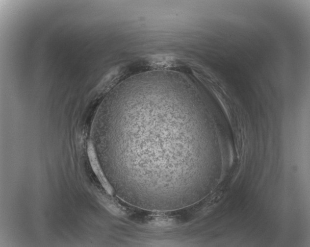 X0000079320601200611251806