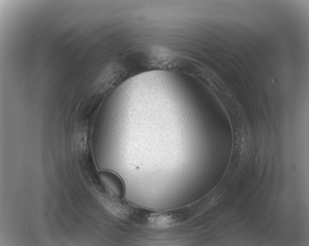 X0000079320602200611251806