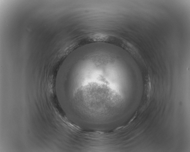 X0000079320604200611251806