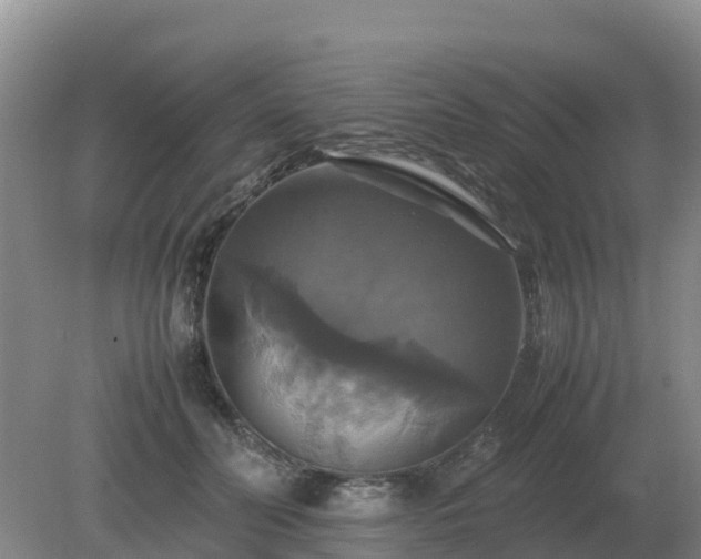 X0000079320606200611251806