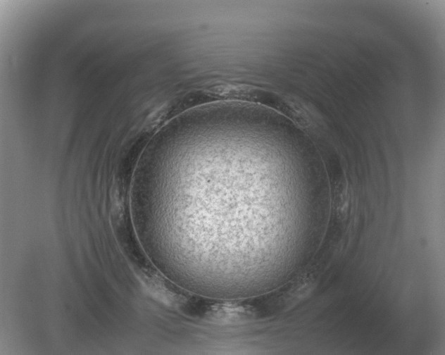 X0000079320607200611251806