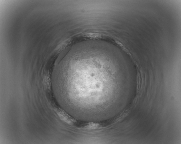 X0000079320609200611251806