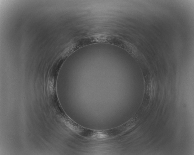 X0000079320610200611251806