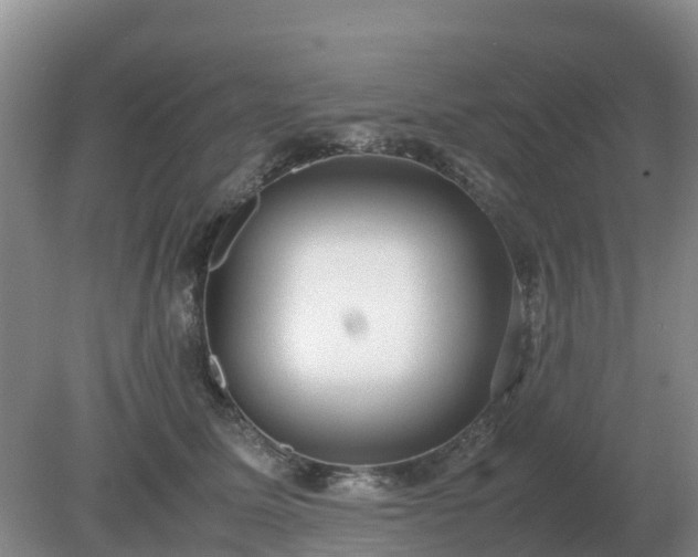 X0000079320611200611251806