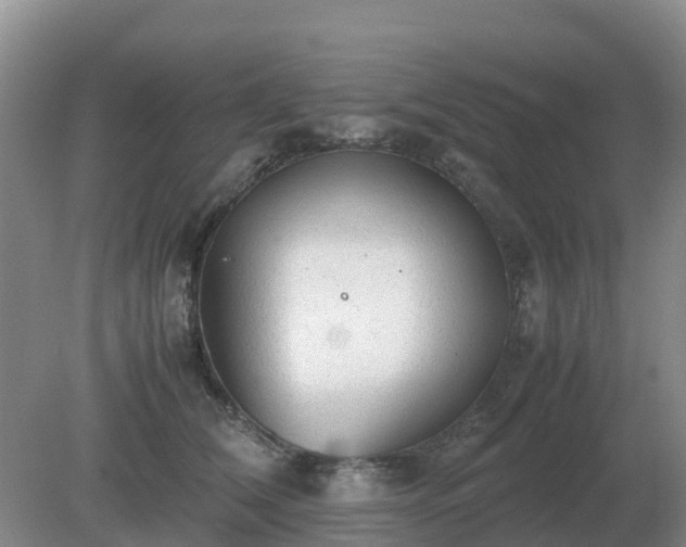 X0000079320612200611251806