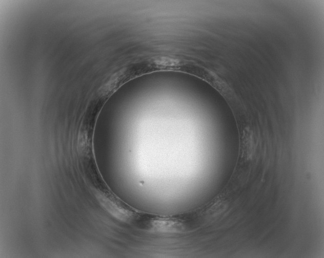 X0000079320614200611251806