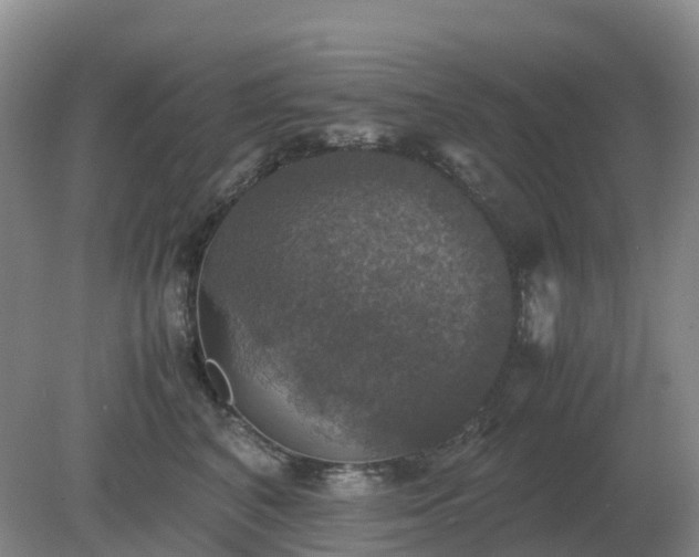 X0000079320616200611251806