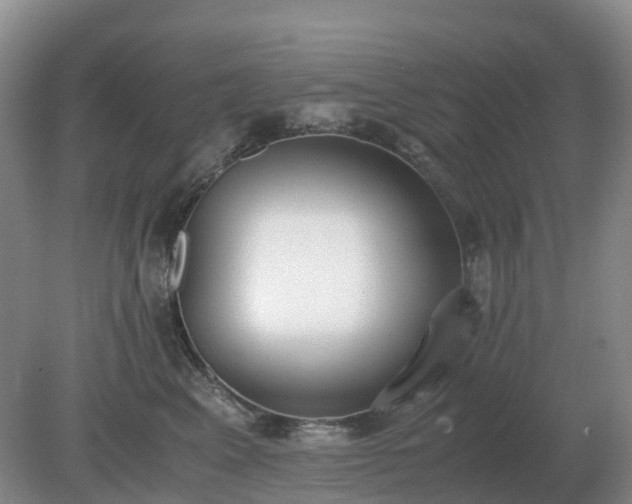 X0000079320617200611251806