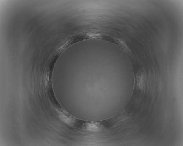 X0000079320618200611251806